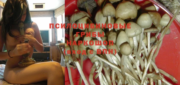 ГАЛЛЮЦИНОГЕННЫЕ ГРИБЫ Горнозаводск
