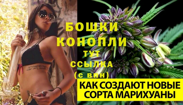 spice Горняк