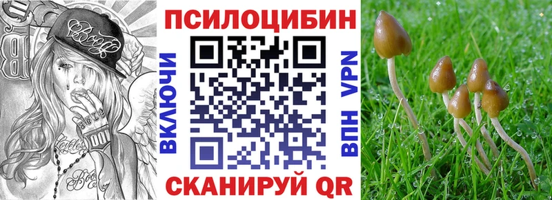 Купить где  Кириши  Псилоцибиновые грибы Magic Shrooms 