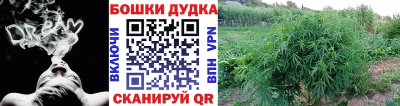 Каннабис MAZAR  Купить закладки  Кириши 
